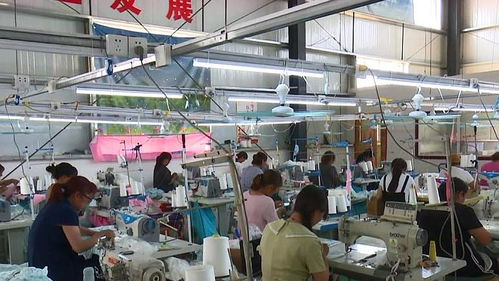 臨潁 這個村有一家服裝代加工廠,40多名村民在家門口實現了就業(yè)