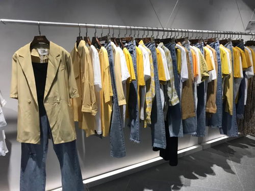 DBZ獨(dú)辮子服飾2020終端形象再升級(jí)，煥新體驗(yàn)引領(lǐng)潮流風(fēng)尚