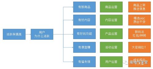 數(shù)據(jù)分析如何推動(dòng)在線數(shù)據(jù)處理與交易處理業(yè)務(wù)發(fā)展